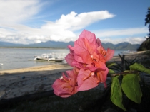 Бали и Гили в марте 2012 – 11 дней. Маршрут, цены, впечатления