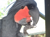 Бали и Гили в марте 2012 – 11 дней. Маршрут, цены, впечатления