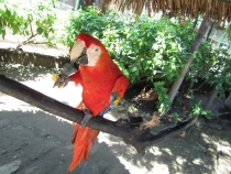 Бали и Гили в марте 2012 – 11 дней. Маршрут, цены, впечатления