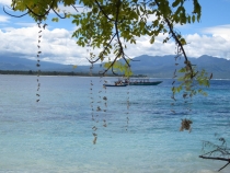 Бали и Гили в марте 2012 – 11 дней. Маршрут, цены, впечатления