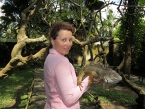 Бали и Гили в марте 2012 – 11 дней. Маршрут, цены, впечатления