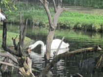 Бали и Гили в марте 2012 – 11 дней. Маршрут, цены, впечатления