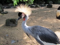 Бали и Гили в марте 2012 – 11 дней. Маршрут, цены, впечатления