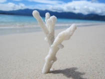 Бали и Гили в марте 2012 – 11 дней. Маршрут, цены, впечатления