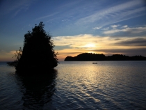 Наши Тогеаны, май 2012 (много фото)