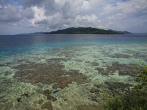 Наши Тогеаны, май 2012 (много фото)