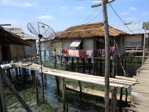 Наши Тогеаны, май 2012 (много фото)