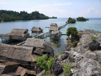 Наши Тогеаны, май 2012 (много фото)