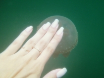 Наши Тогеаны, май 2012 (много фото)