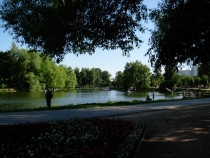 Москва, один день.Музей Дарвина + Усадьба Воронцово.