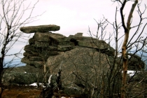 помяненнный 043