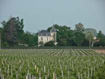 Сент-Эмильон