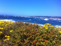California Highway 1/Big Sur, Июнь 2012, Фотоотчет California Highway 1/Big Sur, Июнь 2012, Фотоотчет