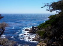 California Highway 1/Big Sur, Июнь 2012, Фотоотчет California Highway 1/Big Sur, Июнь 2012, Фотоотчет