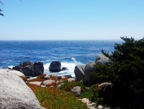 California Highway 1/Big Sur, Июнь 2012, Фотоотчет California Highway 1/Big Sur, Июнь 2012, Фотоотчет