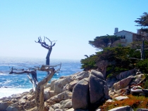 17-mile drive