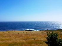 big sur