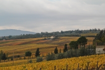 Золотые холмы Тосканы.