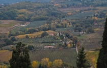 Золотые холмы Тосканы.