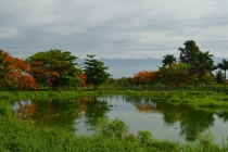 "побег" из Варадеро