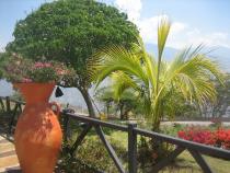 парк Чикамоча