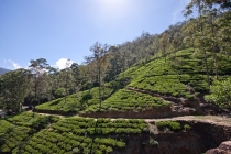 Цейлон или 9 дней на острове чая, Май 2012 (с фото)