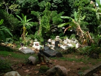 Сейшелы (Маэ, Праслин, Ла Диг) с 14 по 25 мая 2012 года