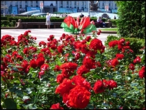 Минск