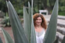 Мексика и дорога к ней (США)