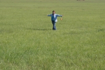 Мексика и дорога к ней (США)