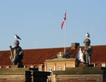P1026472.JPG