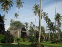 Первое самостоятельное путешествие  Koh Chang,Koh Kood, Бангкок июнь 2012 г