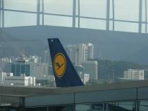 Мой самый любимый хвостик на свете