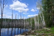 Аномальная зона в Подмосковье.