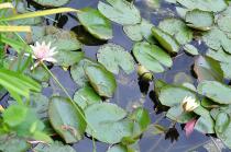 Путешествие во Францию июль 2011г.