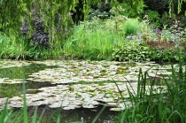 Путешествие во Францию июль 2011г.