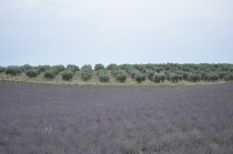 Путешествие во Францию июль 2011г.