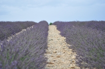 Путешествие во Францию июль 2011г.