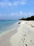 Catalinita Island Dominicana