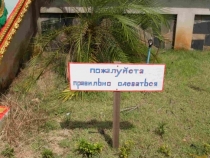 май 2012 Бангкок - Ко Чанг - Паттайя - Бангкок