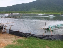 май 2012 Бангкок - Ко Чанг - Паттайя - Бангкок