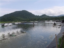 май 2012 Бангкок - Ко Чанг - Паттайя - Бангкок