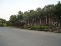 май 2012 Бангкок - Ко Чанг - Паттайя - Бангкок