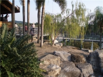 май 2012 Бангкок - Ко Чанг - Паттайя - Бангкок