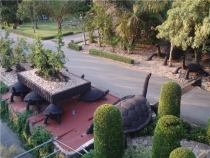 май 2012 Бангкок - Ко Чанг - Паттайя - Бангкок