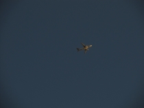 Турция и ничего кроме Турции.