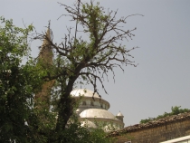 Турция и ничего кроме Турции.