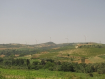 Турция и ничего кроме Турции.