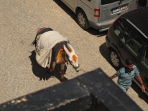 Турция и ничего кроме Турции.