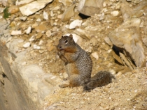 IMG_5652_новый размер.JPG